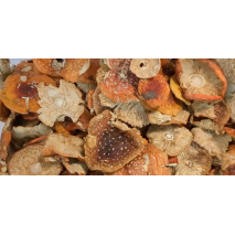 HarmoniZe Mushrooms - Amanita Wholesale (Red fly agaric - season 2023 )