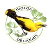 Ivolga Organics